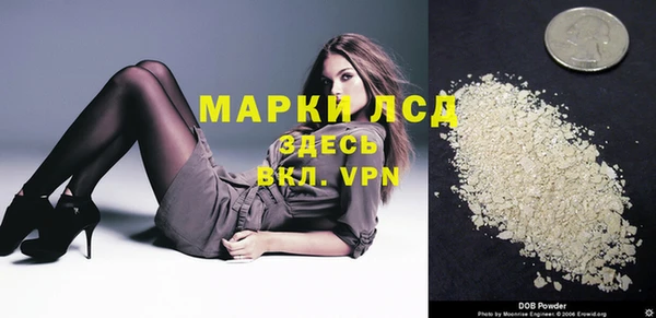 СК Осинники