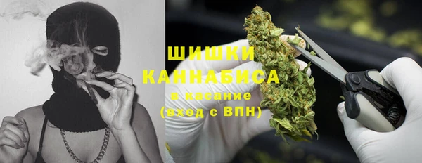 СК Осинники
