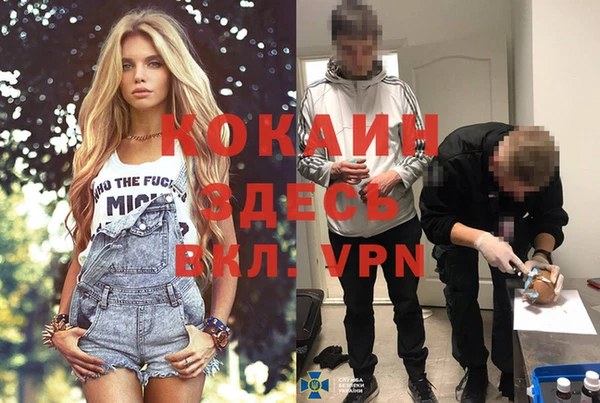 прущие крисы Пестово